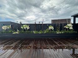 Image gallery image